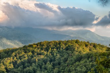 Blue ridge parkway doğal dağlar yaz manzara gözden kaçırmak.