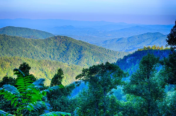 Blue Ridge Parkway National Park Sunset Scenic Mountains verão — Fotografia de Stock