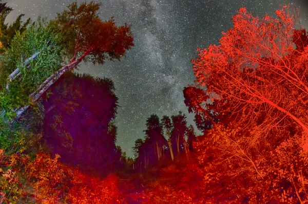 Um belo céu noturno, a Via Láctea e as árvores — Fotografia de Stock
