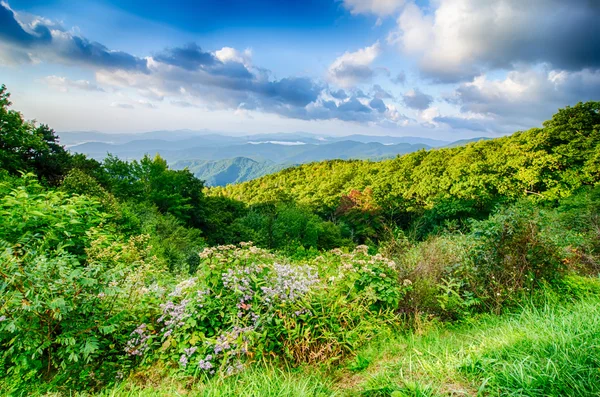 Východ slunce nad blue ridge hory scénický výhled — Stock fotografie