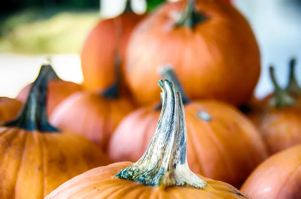 Pumpkins in the wooden box preparing for sale — Stock Photo, Image