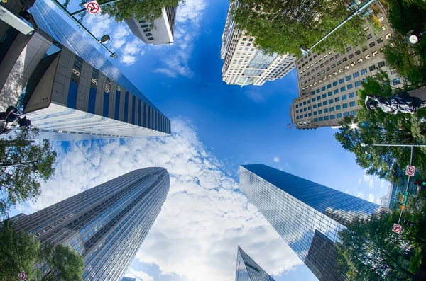 Financial skyscraper buildings in Charlotte North Carolina USA — Stock Photo, Image