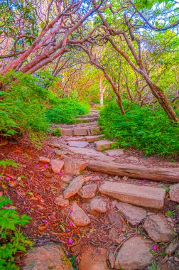 Craggy Garden Trail on an autumn day clipart