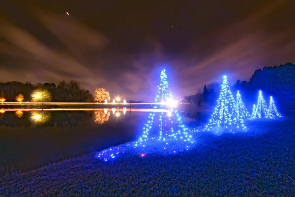 На открытом воздухе рождественские украшенные деревья возле озера — стоковое фото