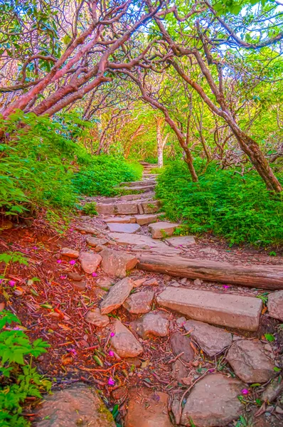 Steile Garden Trail op een herfst dag — Stockfoto