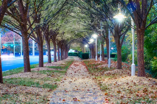 道路沿いの公園の秋の路地 — ストック写真