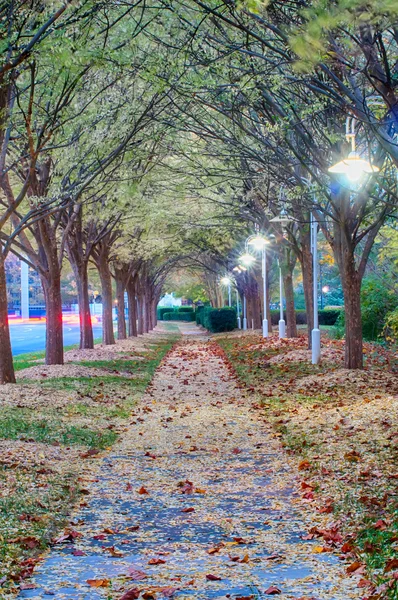 Vicolo autunnale nel parco lungo la strada — Foto Stock