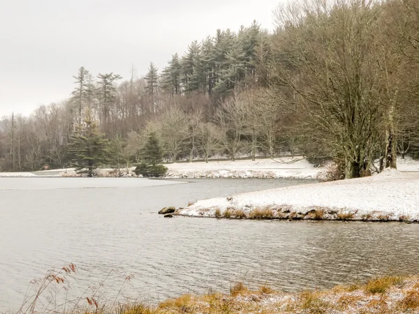 Invierno, nieve escena lago —  Fotos de Stock