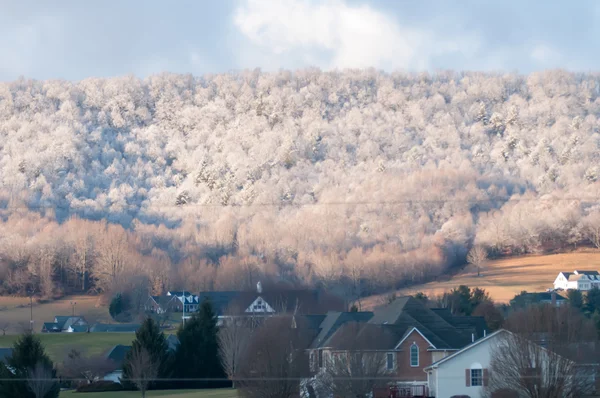 Paysage forestier enneigé en hiver — Photo