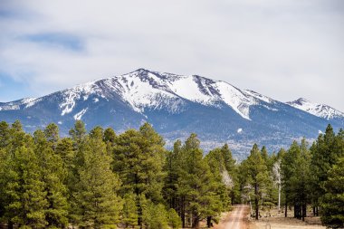 Humphreys en yüksek en yüksek Arizona ile manzara