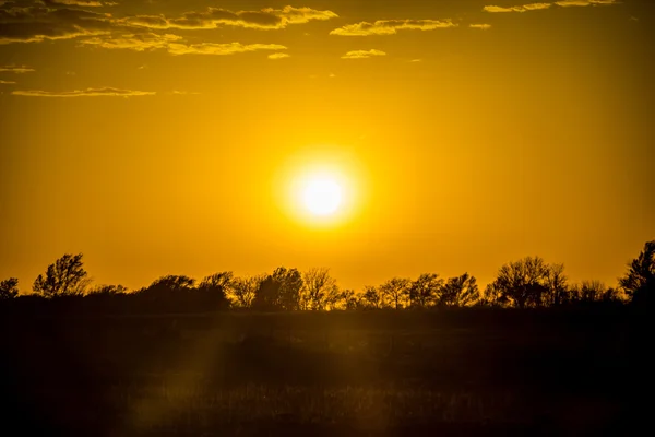 Golden sunset over farm field — Stock Photo, Image