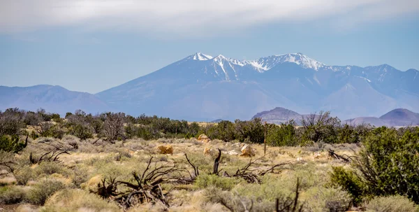 Humphreys en yüksek en yüksek Arizona ile manzara — Stok fotoğraf