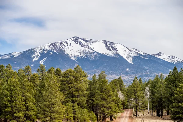 Krajina s nejvyšší Humphreys Peak v Arizoně — Stock fotografie