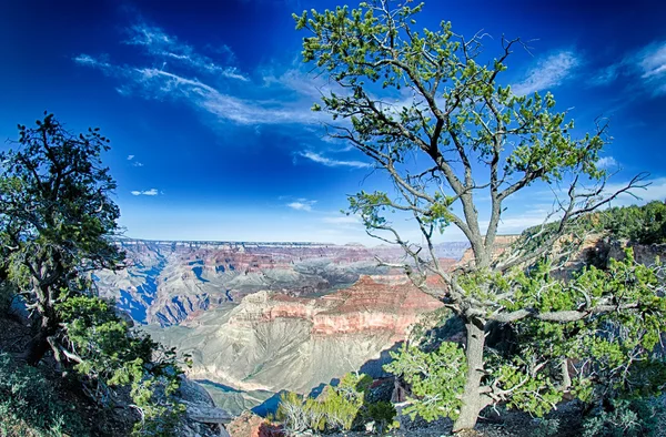 Landskap vid grand canyon arizona — Stockfoto