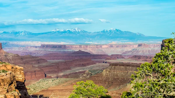 Canyonlands Milli Parkı utah — Stok fotoğraf