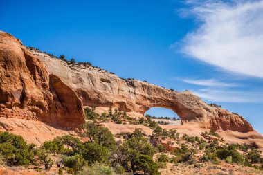 wildon kemer Utah