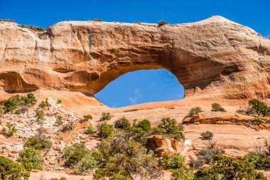 wildon kemer Utah