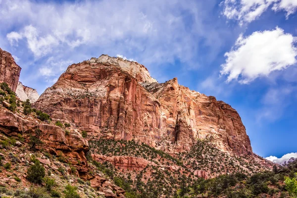 Zion Canyon National Park Utah — Stock Photo, Image