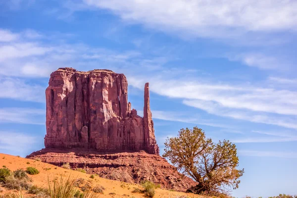 A tree and a butte in Monument Valley — Stock Photo, Image