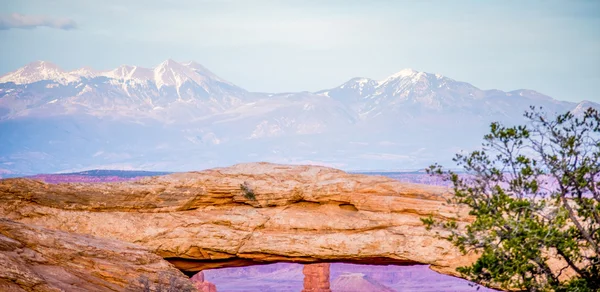 Famoso Mesa Arch en Canyonlands National Park Utah EE.UU. —  Fotos de Stock