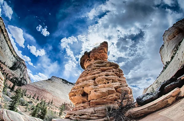 Parque Nacional Zion Canyon Utah — Fotografia de Stock