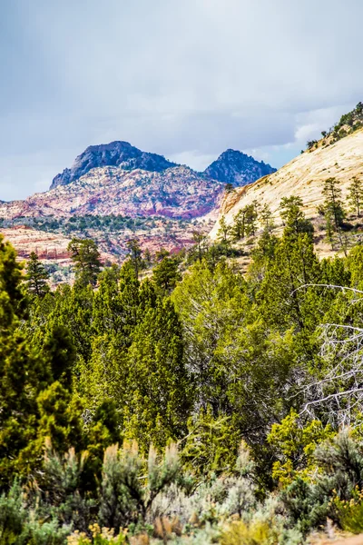 Park Narodowy Zion Canyon Utah — Zdjęcie stockowe