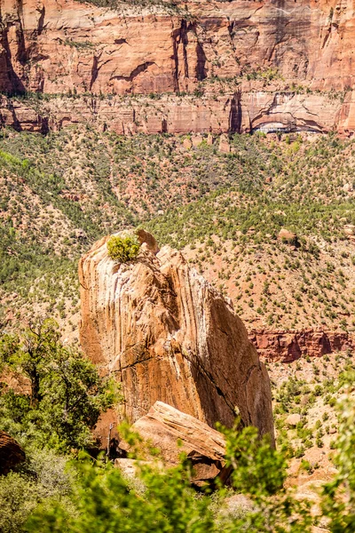 Parque Nacional Zion Canyon Utah —  Fotos de Stock