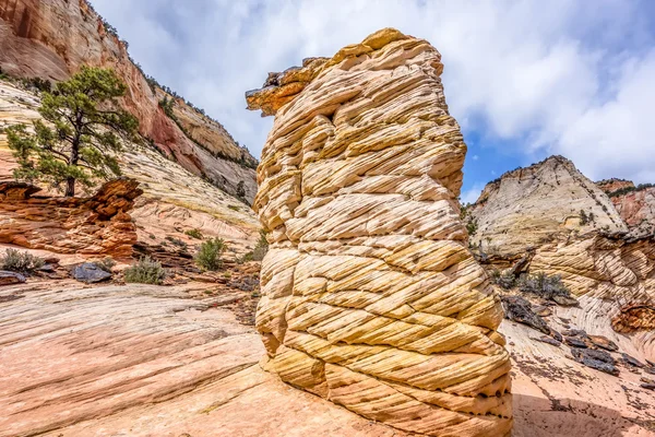 Parque Nacional Zion Canyon Utah — Foto de Stock