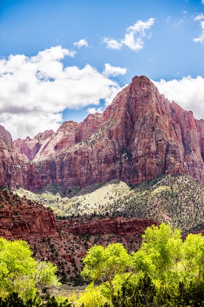 Parque Nacional Zion Canyon Utah — Fotografia de Stock