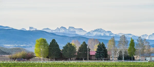 Colorado Rocky Dağları eteklerinde — Stok fotoğraf