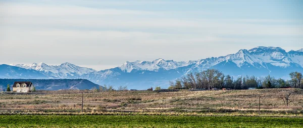 Am Fuße der Colorado-Felsen — Stockfoto