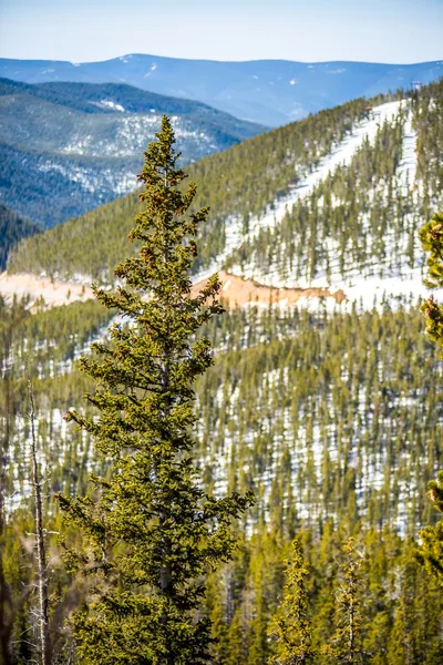 Colorado montagnes rocheuses près du col du monarque — Photo