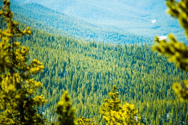 Montañas rocosas de Colorado cerca del paso del monarca — Foto de Stock