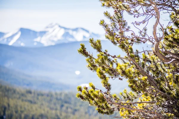 Colorado klippiga bergen nära monark passera — Stockfoto