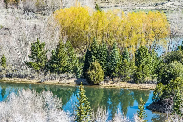Colorado roky bergen vista visningar — Stockfoto