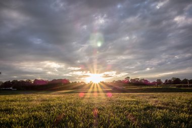 Günbatımı yeşil çiftlik alanın üzerinde 