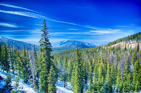 Colorado montanhas rochosas perto da passagem do monarca — Fotografia de Stock