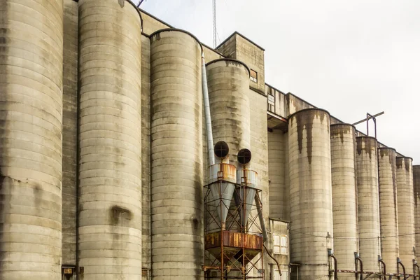 Large farm  industrial silos — Stock Photo, Image