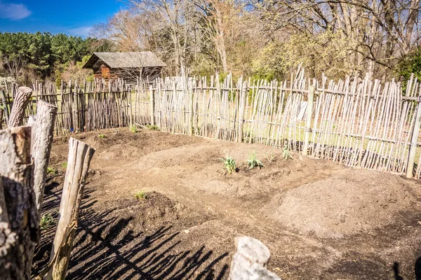 Kleiner Gemüsegarten mit Hochbeeten im eingezäunten Hinterhof — Stockfoto