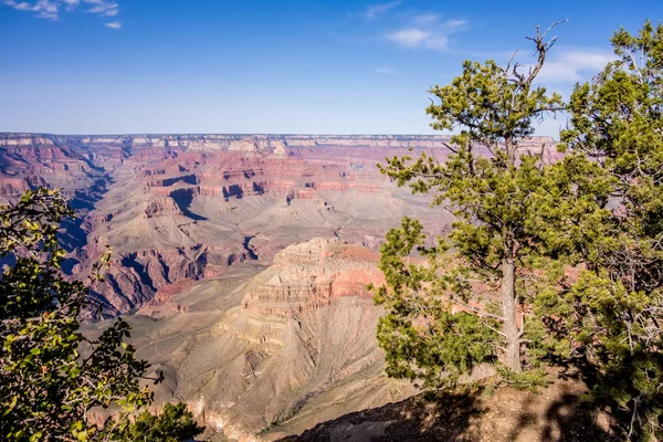 Sahne Büyük Kanyon Arizona çevresinde — Stok fotoğraf