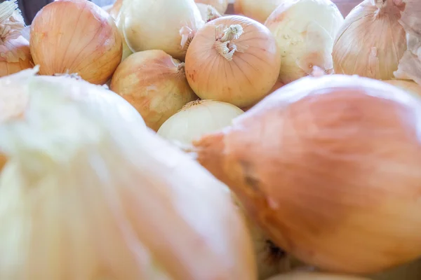 Fresh onion on farm display — Stock Photo, Image