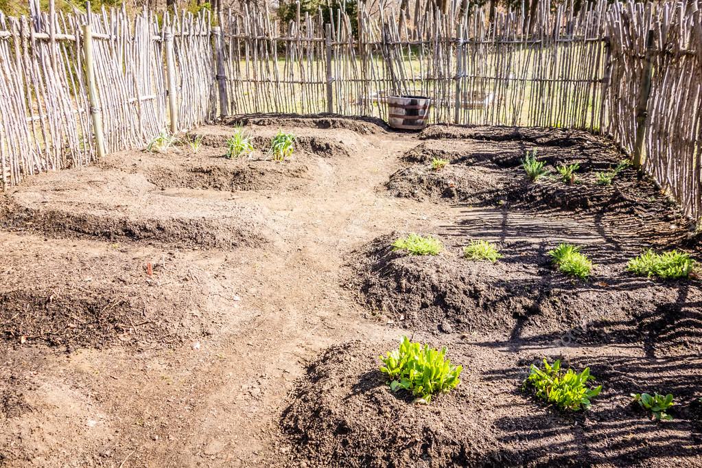 Pequeño huerto con camas levantados en el patio trasero cercado — Foto
