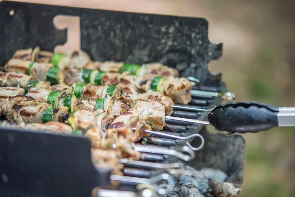 Steak shishkabob skewers with vegitables cooking on flaming gril — Stock Photo, Image