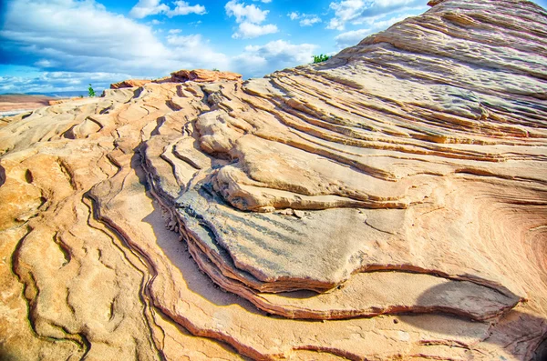 Waves geological rock formations in arizona — Stock Photo, Image