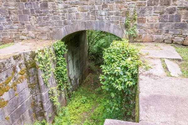 Sahneleri etrafında landsford kanal devlet park Güney Carolina — Stok fotoğraf