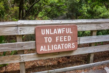 avcılık ada plaj sahneleri 