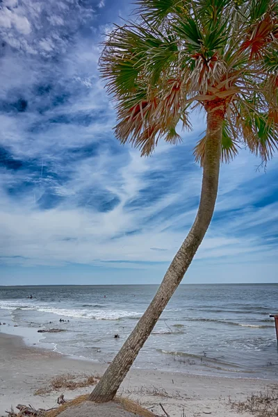 Caça ilha praia cenas — Fotografia de Stock
