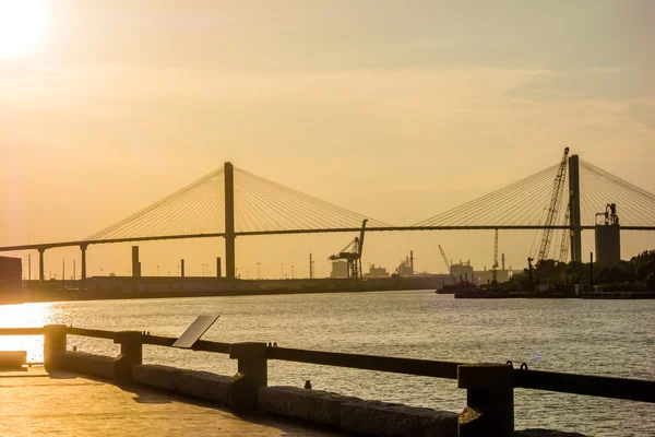 Savanne Georgien Fluss Straße Landschaft — Stockfoto