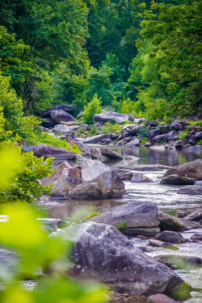 Broad river flowing through wooded forest — Stock Photo, Image