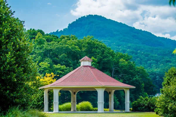 Göl çevresinde sahne yem Kuzey carolina — Stok fotoğraf